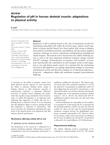 Regulation of pH in human skeletal muscle: adaptations to physical