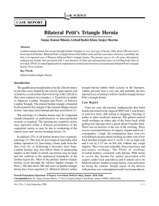 Bilateral Petit's Triangle Hernia