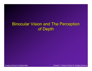 Binocular Vision and The Perception of Depth