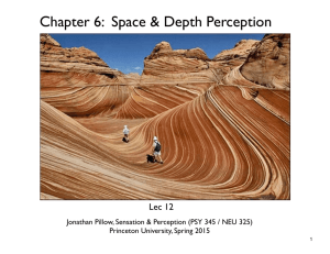Chapter 6: Space & Depth Perception - Jonathan Pillow