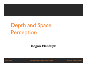 Depth and Space Perception