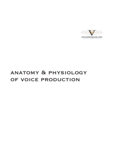 anatomy & physiology of voice production