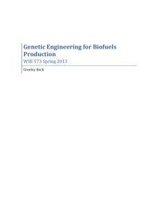 Genetic Engineering for Biofuels Production