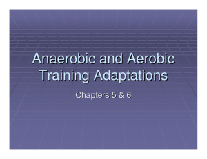Anaerobic and Aerobic Training Adaptations (Ch. 5-6)