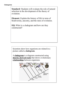 cladogram - OCHS Biology