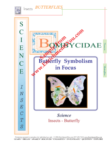Butterfly symbolism