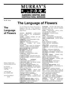 The Language of Flowers - Murray's Garden Centre & Horticultural
