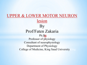 UPPER & LOWER MOTOR NEURON lesion By Prof/Faten Zakaria
