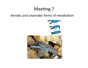 Aerobic and anaerobic forms of metabolism