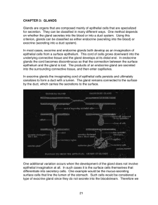 GLANDS