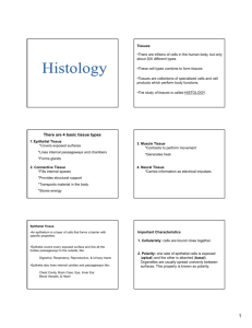 Histology [Compatibility Mode]