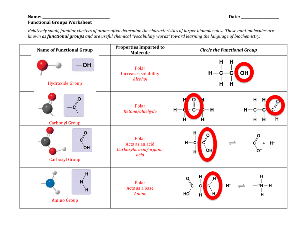 Functional Groups Worksheet
