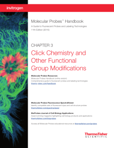 Chapter 3—Click Chemistry and Other Functional Group Modifications