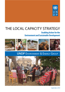 Local Capacity Strategy