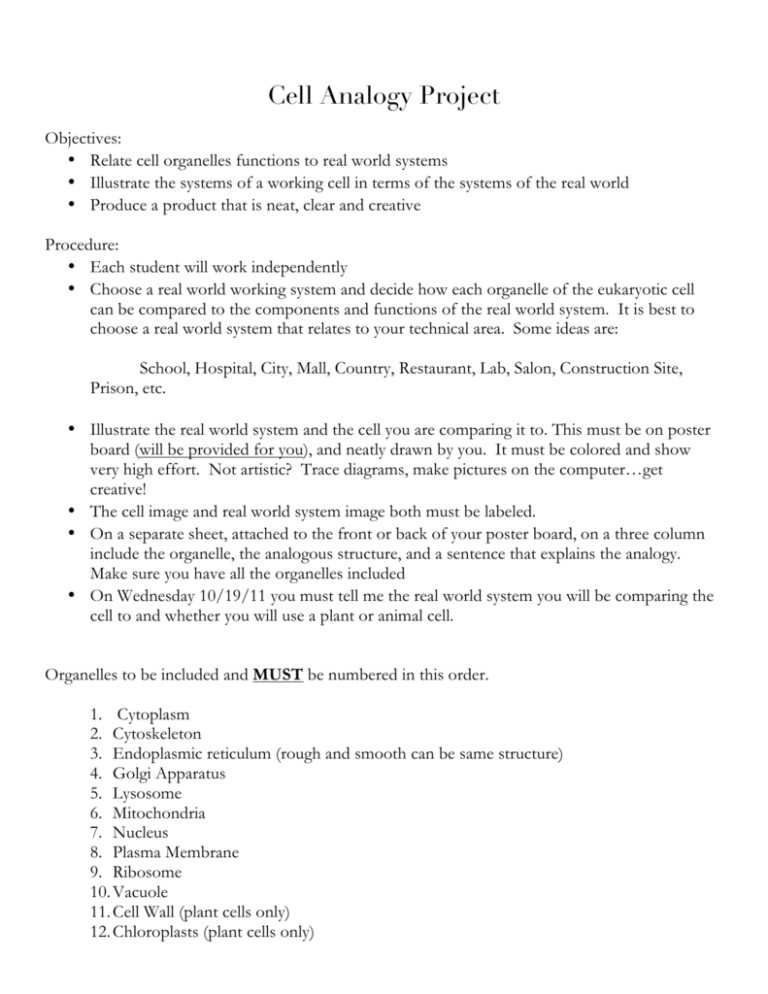 plant cell city analogy project