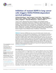 Inhibition of mutant EGFR in lung cancer cells triggers SOX2