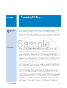 Observing Pill Bugs - Carolina Curriculum