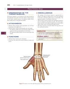 To View Sample 2 Internal Pages From The Muscular System Manual