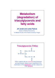 Metabolism (degradation) of triacylglycerols and fatty acids