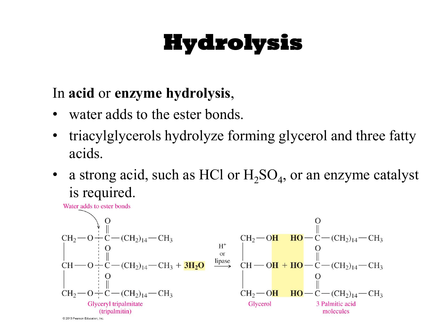 อะไร คือ Hydrolysis