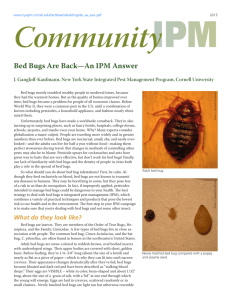 Bed Bugs Are Back—An IPM Answer