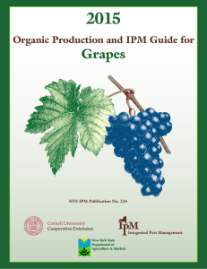 Production Guide for Organic Grapes