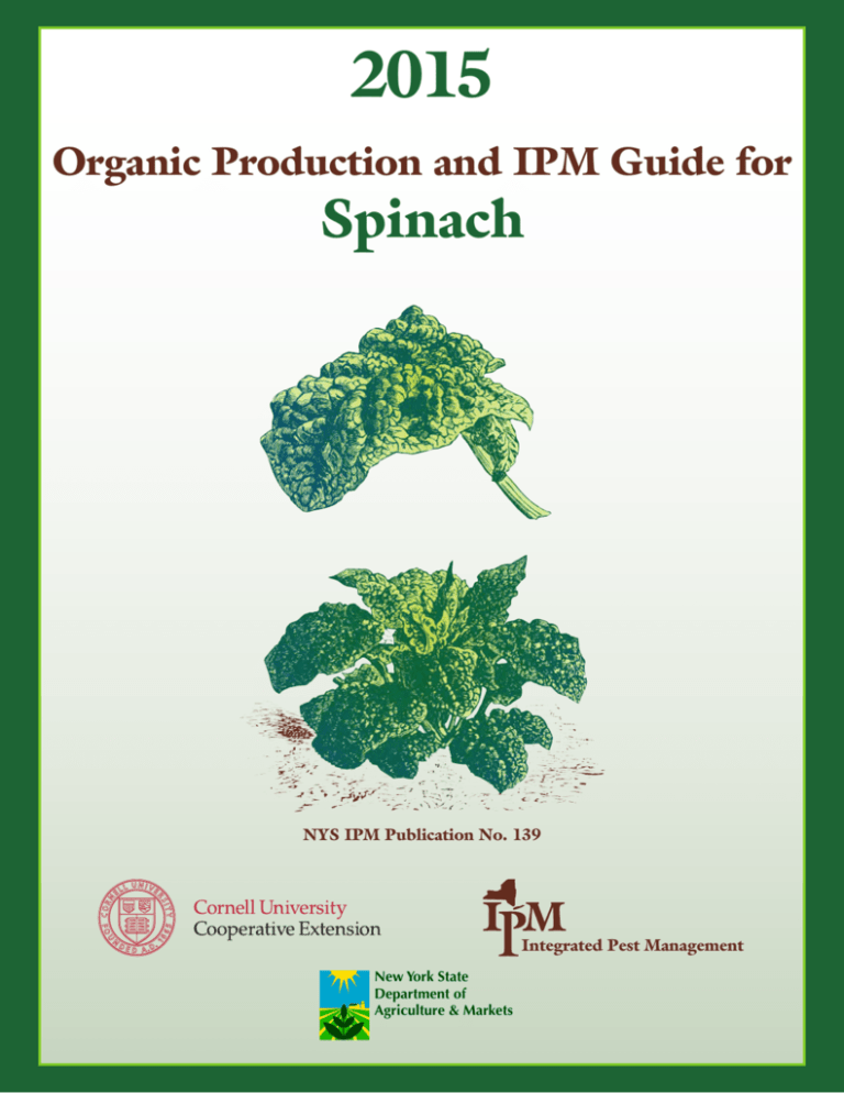 which insecticides and pesticides for spinach