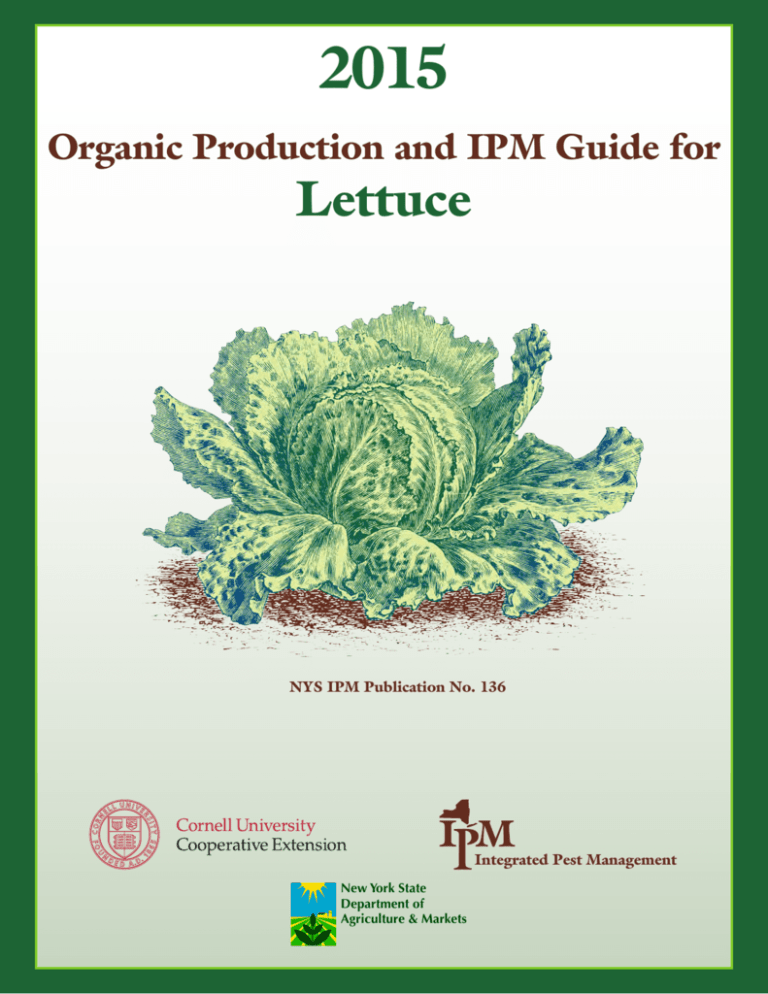 Organic Lettuce - New York State Integrated Pest Management