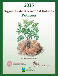 Organic Potatoes - New York State Integrated Pest Management