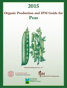 Production Guide for Organic Peas for Processing