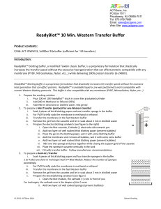 ReadyBlot™ 10 Min. Western Transfer Buffer