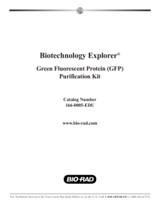 Green Fluorescent Protein (GFP) Purification Kit