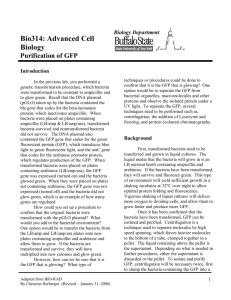 Bio314: Advanced Cell Biology