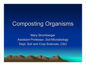 Composting Organisms