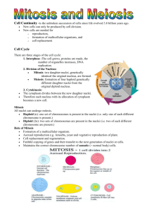 Mitosis