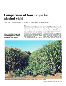 Comparison of four crops for alcohol yield