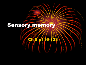 Sensory memory