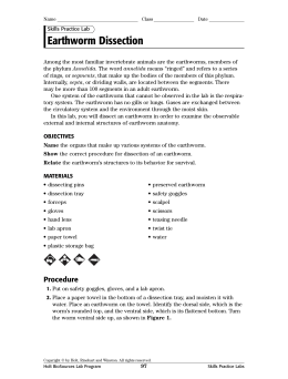 earthworm dissection conclusion studylib net essys homework help flashcards research papers book report and other earthworm dissection conclusion studylib net essys homework help flashcards research papers book report and other