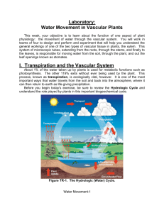 Laboratory: Water Movement in Vascular Plants I. Transpiration and