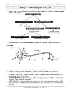 Biology 12 - The Nervous System Study Guide 1. Explain how the