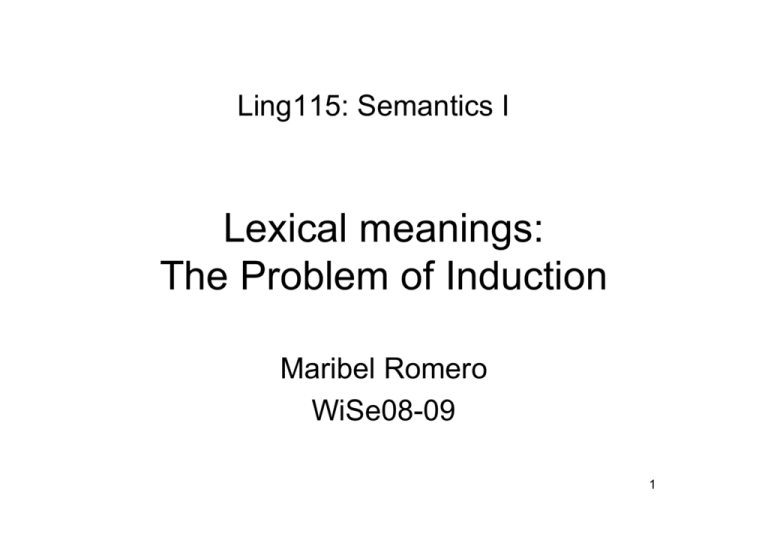 Lexical Meanings The Problem Of Induction