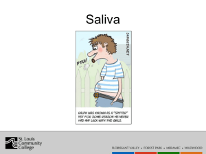 Saliva