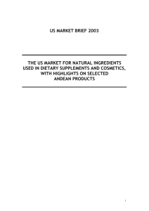 us market brief 2003