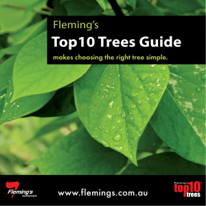 Top10 Trees Guide - Fleming's Nurseries
