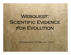 evolution_webquest 12-13