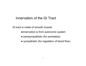 Innervation of the GI Tract