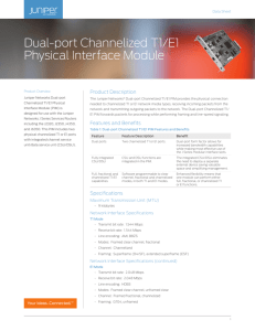 Dual-port Channelized T1/E1 Physical Interface