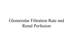 Glomerular Filtration Rate and Renal Perfusion