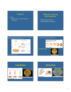Chapter 3 Methods of Culturing Microorganisms Loop Dilution