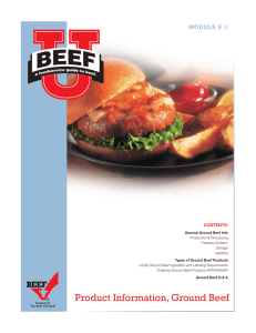 Product Information, Ground Beef